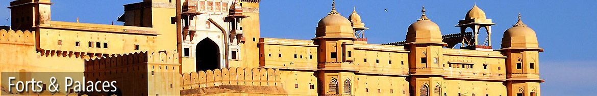 India Fort