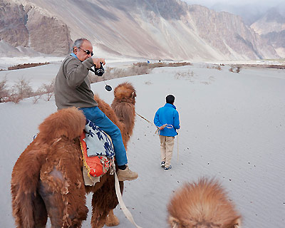 Camel Safari Ladakh