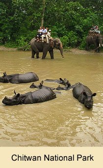 Chitwan National Park