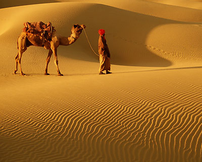 Desert Safari Rajasthan