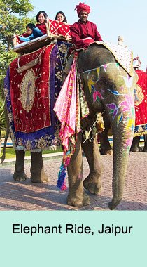 Elephant Ride, Jaipur