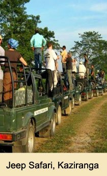 Jeep Safari Kaziranga