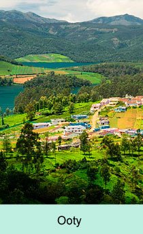 Ooty