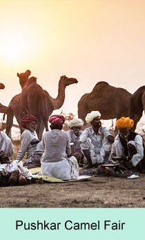 Pushkar Camel Fair