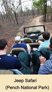 Safari Jeep, Pench National Park