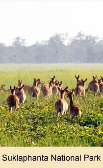 Suklaphanta National Park