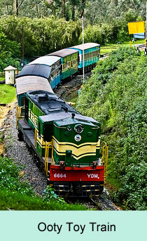 Toy Train, Ooty
